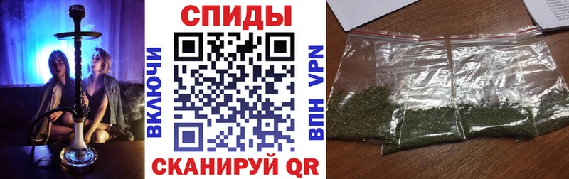 Купить  Губаха  Бутират буратино 