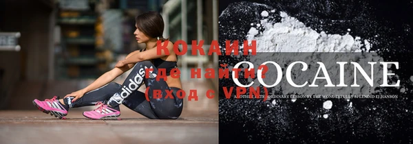 бошки Заводоуковск