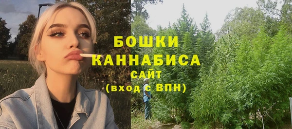 бошки Заводоуковск