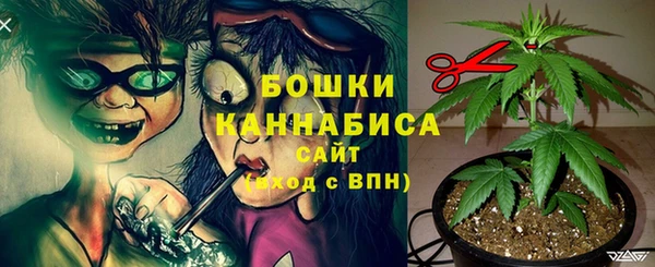 бошки Заводоуковск