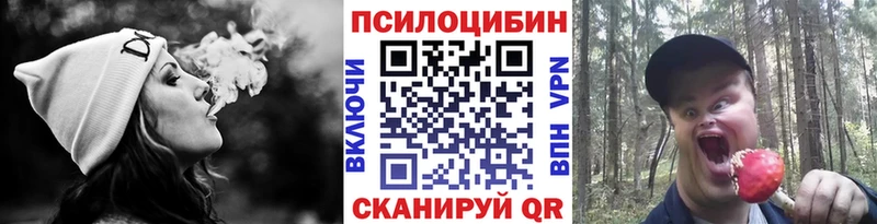 Купить где  Губаха  Галлюциногенные грибы мухоморы 